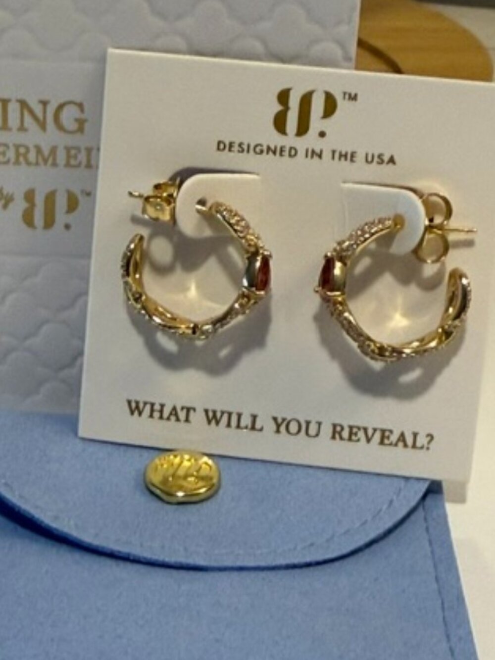 BP Bomb Party Sterling Club Vermeil "Dripping in Shine" Hoop Earrings Rubellite